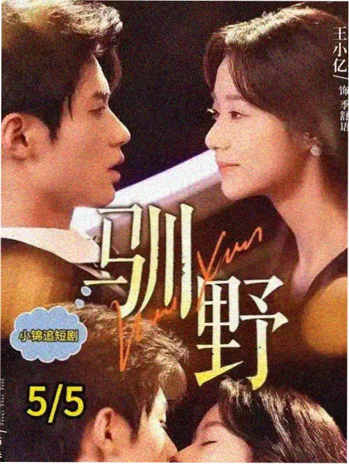 神马我问答合集封面图